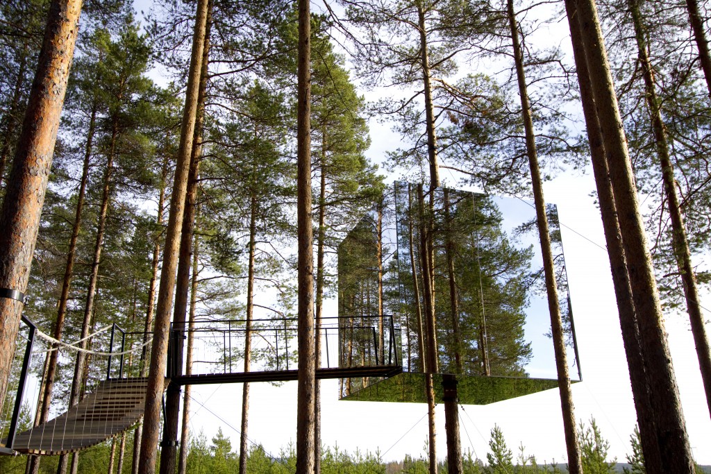 Tree Hotel